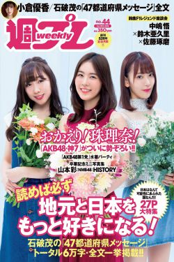 巡回检察组43全集